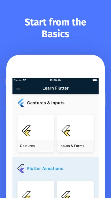 Learn Flutter Development PRO应用截图