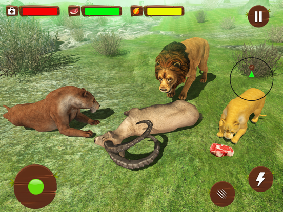 Ultimate Wild Lion Simulator iPad  Ekran Görüntüleri
