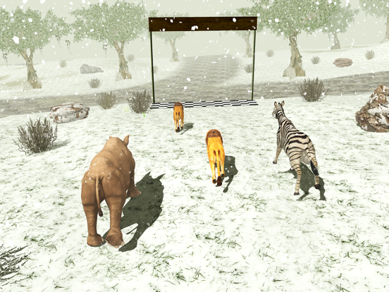 Ultimate Wild Lion Simulator iPad  Ekran Görüntüleri