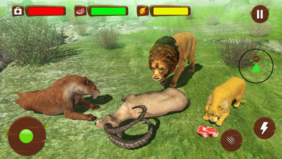Ultimate Wild Lion Simulator Ekran Görüntüleri