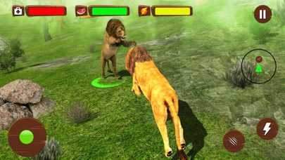 Ultimate Wild Lion Simulator Ekran Görüntüleri
