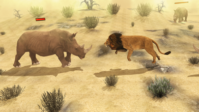 Ultimate Wild Lion Simulator Ekran Görüntüleri