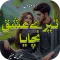 Tere Ishq Nachaya Urdu Novel