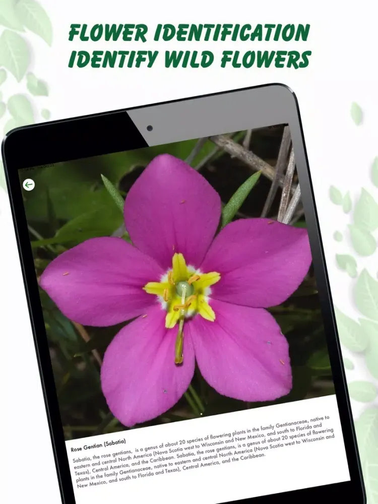 Tangkapan layar Plant Identification Lite iPad