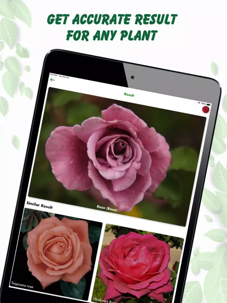 Tangkapan layar Plant Identification Lite iPad