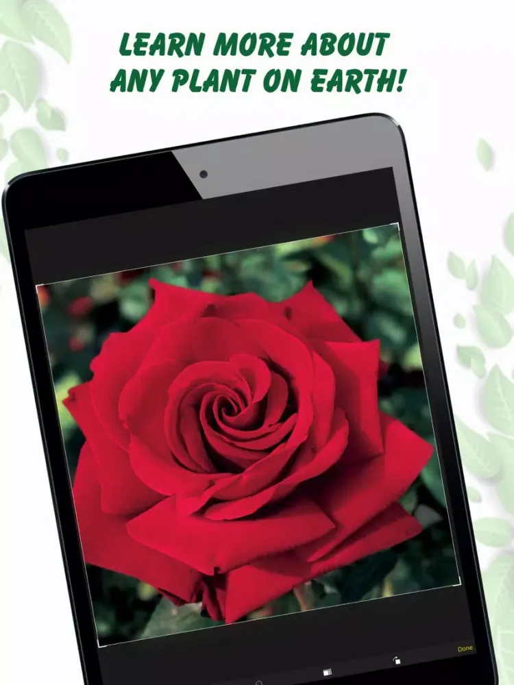 Tangkapan layar Plant Identification Lite iPad