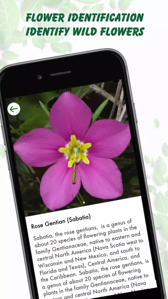 Tangkapan layar Plant Identification Lite