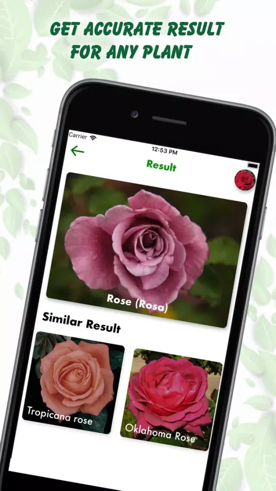 Tangkapan layar Plant Identification Lite