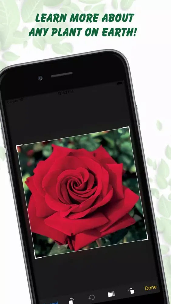 Tangkapan layar Plant Identification Lite