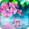 Stay Calm - Relaxing Melodies