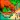Dinosaur Park—Jurassic Tycoon