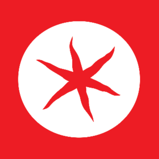 Tomatino