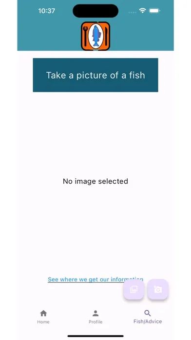 Tangkapan layar Pure Ocean Selections