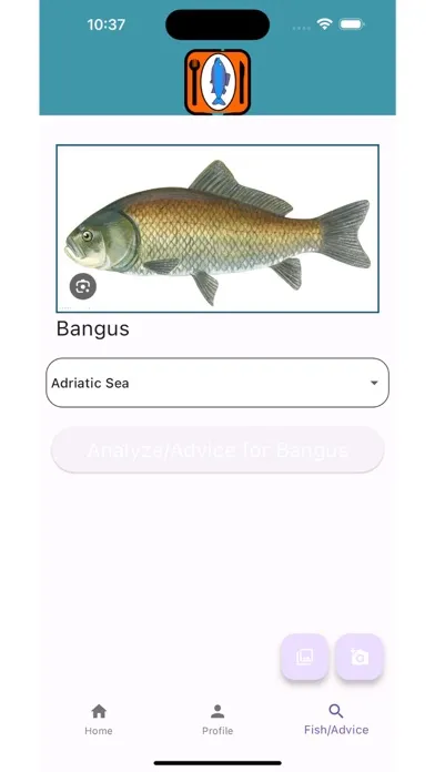 Tangkapan layar Pure Ocean Selections