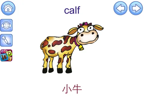 English Picture Dictionary for Chinese Speakers iPad স্ক্রিনশট