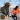 Angry Bull Attack Survival 3D