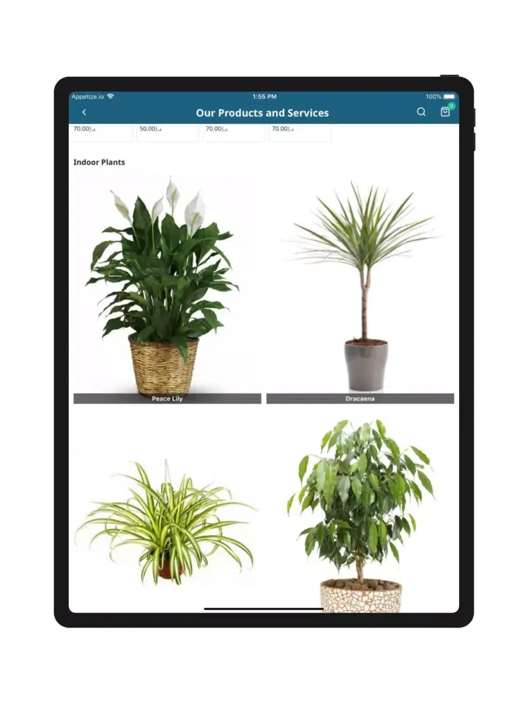 Brooklyn Clean Air Solutions iPad 应用截图