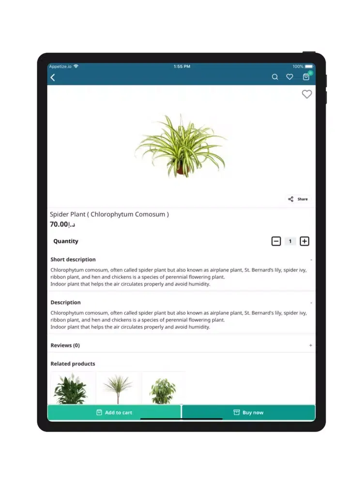 Brooklyn Clean Air Solutions iPad 应用截图