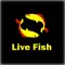 LIVE FISH Buy-Fish-Online