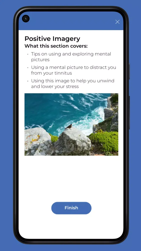 صور Tackling Tinnitus