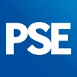 Public Sector Executive Public Sector Executive