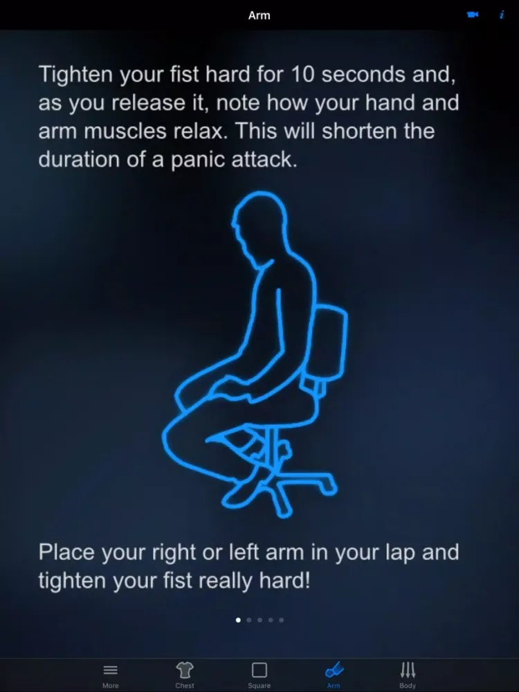 Tangkapan layar Panic Relief iPad 