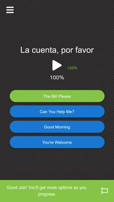 Flamingo Spanish (Mexican)应用截图