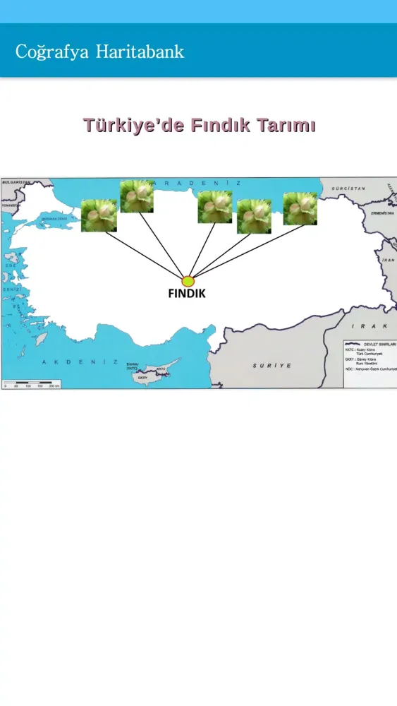 Coğrafya Haritaları Screenshots