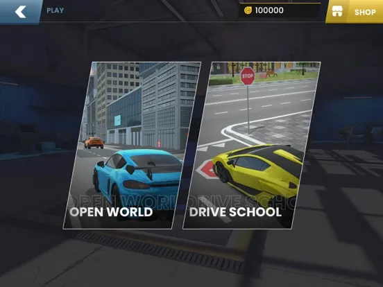 Скриншоты Car Driving : EVO iPad 