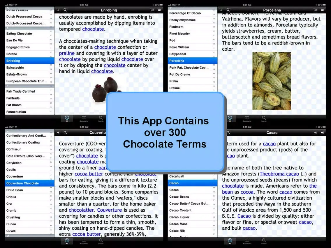 Ảnh chụp màn hình của Chocolate Glossary Terms iPad 