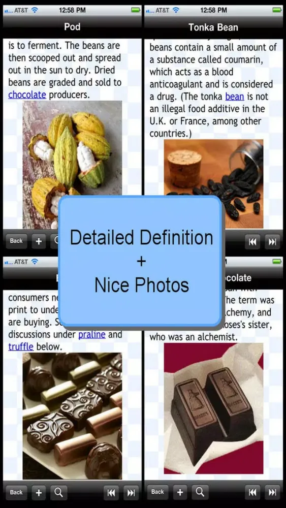 Ảnh chụp màn hình của Chocolate Glossary Terms