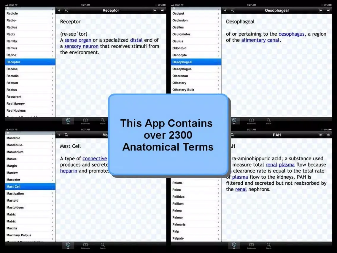 Tangkapan skrin Anatomical Glossary iPad 