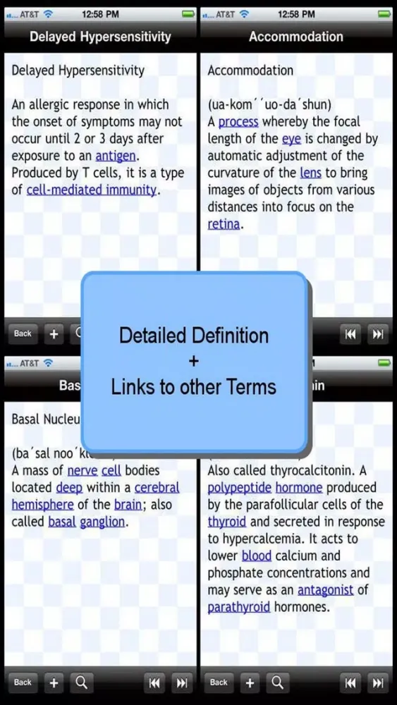 Tangkapan skrin Anatomical Glossary