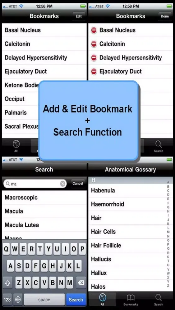 Tangkapan skrin Anatomical Glossary