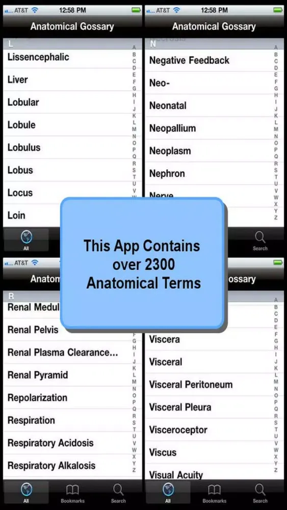 Tangkapan skrin Anatomical Glossary