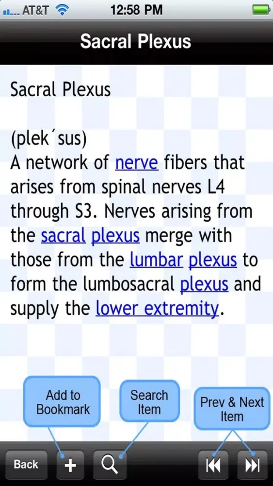 Tangkapan skrin Anatomical Glossary