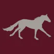 Coldblow Equestrian Centre