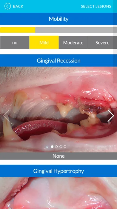 Dental Index स्क्रीनशॉट