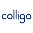 Colligo Briefcase