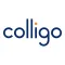 Colligo Briefcase