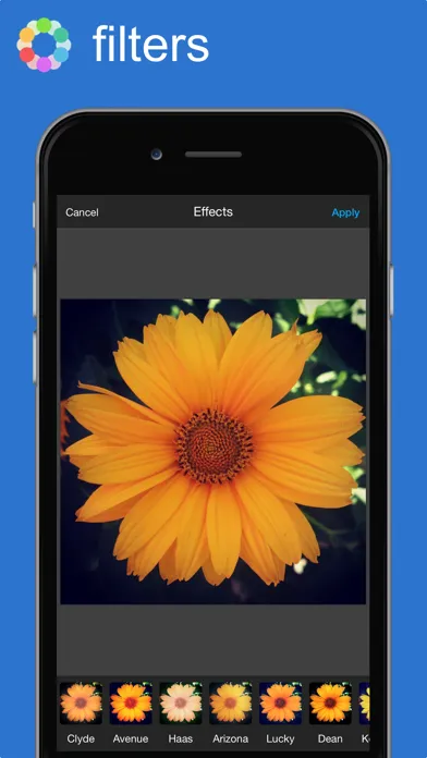 Captures d'écran de Colorae - Colorful Photo & Image Editor