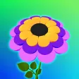 Color Petal 3D