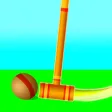 Gate ball!!