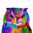 Colores Challenge Colores Challenge