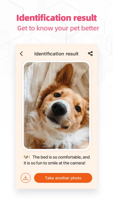 ภาพหน้าจอของ PictoPop - AI Photo Enhancer
