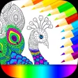 ColorMe Fun