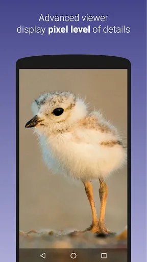 Tangkapan layar Hide Something: photos, videos