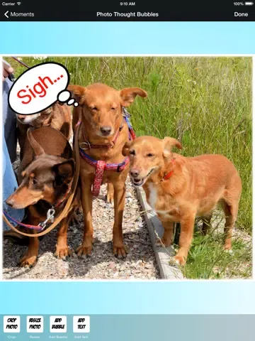 صور Photo Thought Bubbles - Add Thought and Speech Bubbles to Your Pics iPad 
