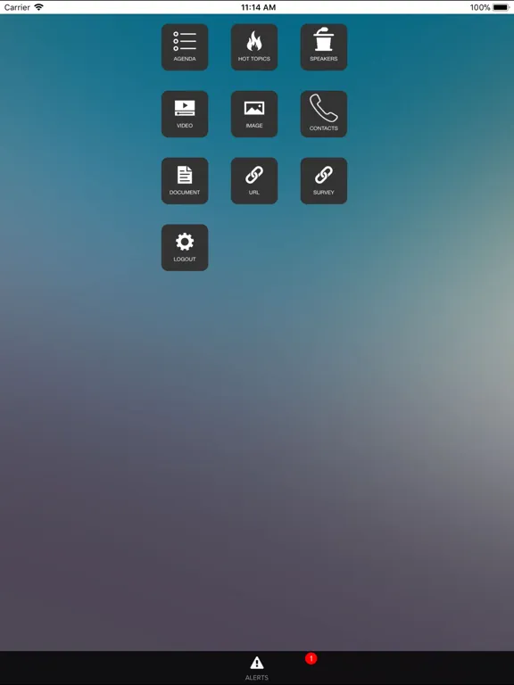 LoyaltyGate iPad 应用截图
