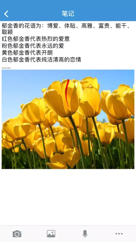 云书应用截图